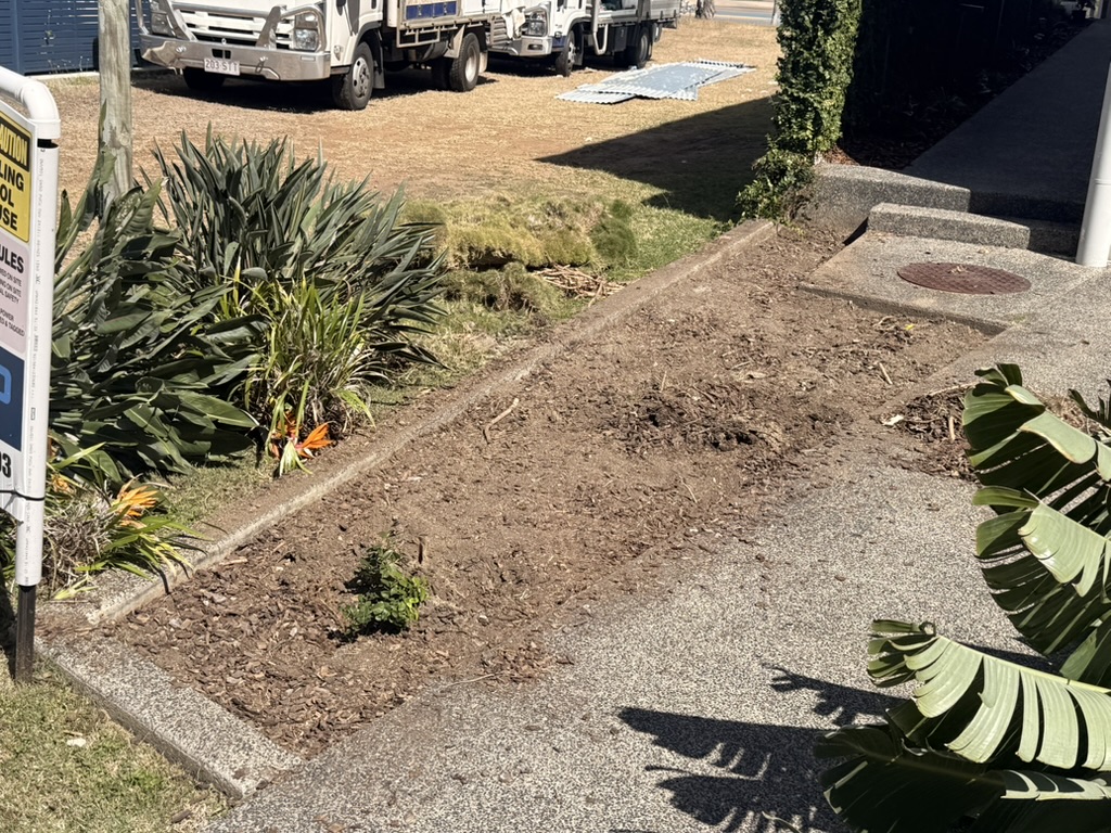Tree pruning in Mackay